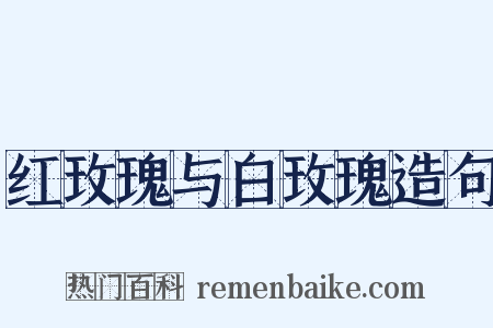 红玫瑰与白玫瑰造句是什么意思的图片